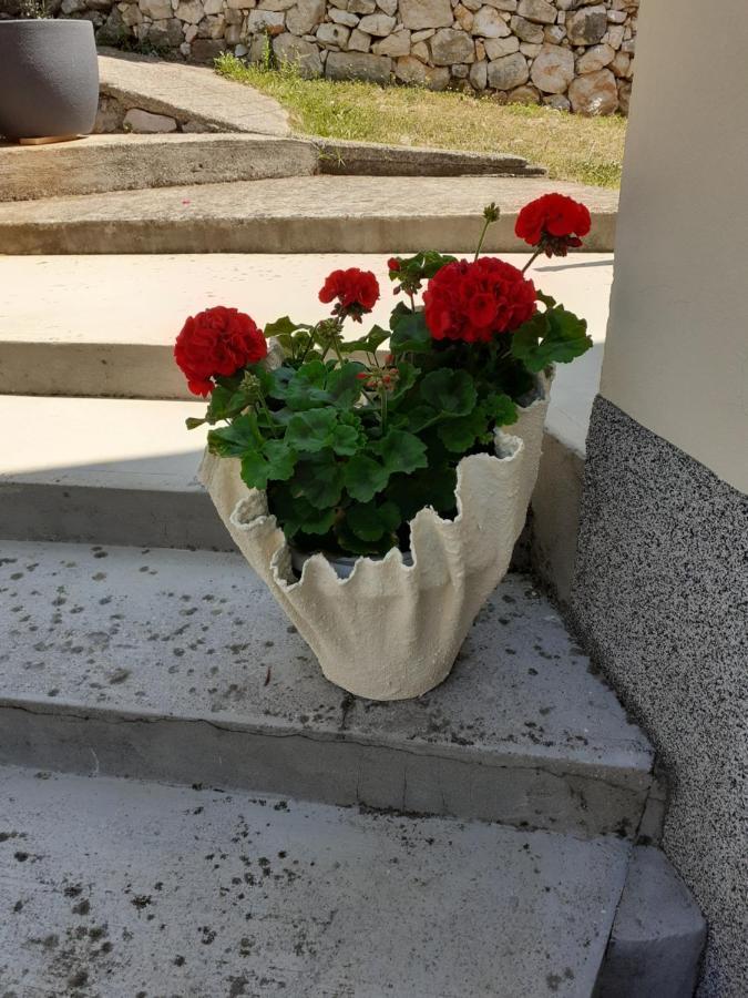 Apartman Danijela Zagorje Exteriér fotografie
